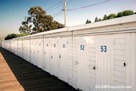 Postcard Sausalito-Harbour