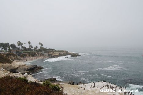 Postcard La Jolla Cove