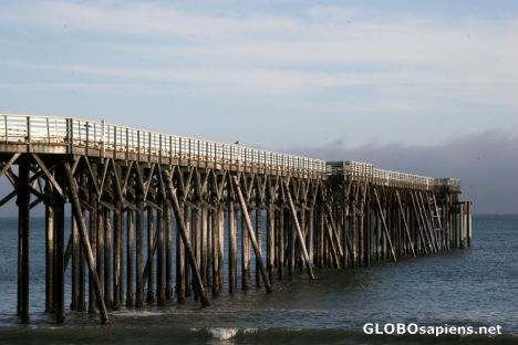 Postcard Stilted...
