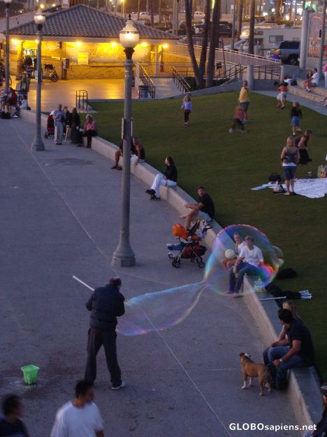 Postcard In a soap bubble