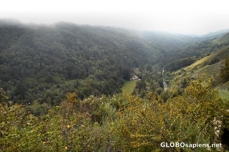 Postcard Valley View Trail Scenes, Pfeiffer Big Sur Park