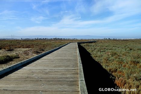 Postcard Don Edwards National Wildlife Refuge