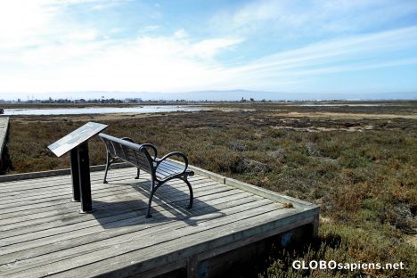 Postcard Don Edwards National Wildlife Refuge