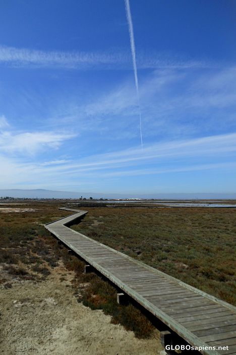 Postcard Don Edwards National Wildlife Refuge