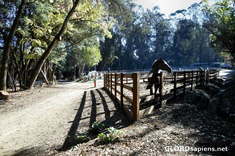 Postcard Riding facility Near the Alambique Trail