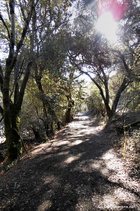 Postcard The Alambique Trail, Wunderlich County Park