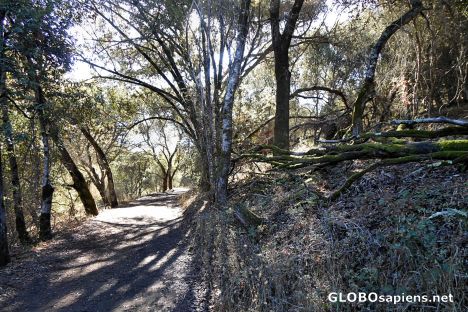 Postcard The Alambique Trail, Wunderlich County Park