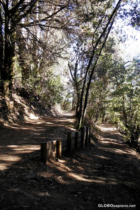 Postcard The Alambique Trail, Wunderlich County Park