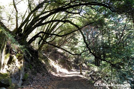 Postcard The Alambique Trail, Wunderlich County Park