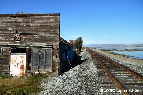 Postcard An Old Antiques Shop, Alviso