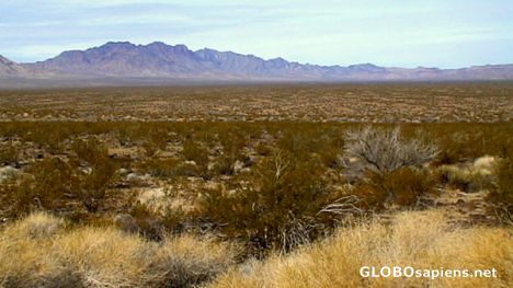 Postcard Mojave Desert
