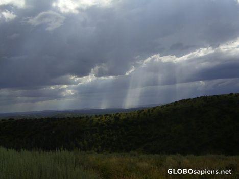 Postcard Rays of sunshine
