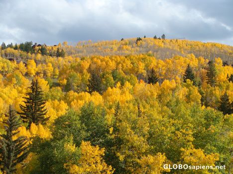 Postcard Colors of fall