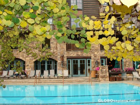 Postcard Poolside
