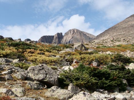 Postcard The alpine tundra