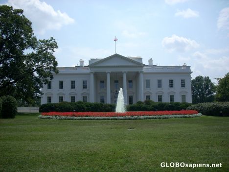 Postcard The White House