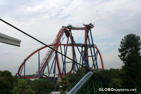 Postcard Busch Gardens; The Sheikra
