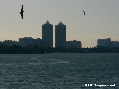 Postcard Skyline of South Beach