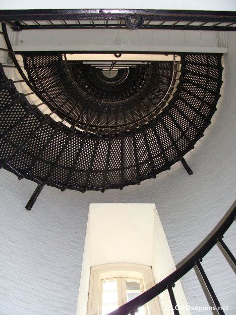 Postcard Looking up