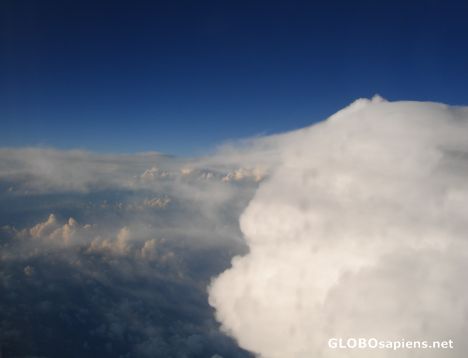 Postcard Cotton wool