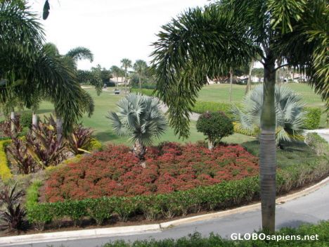 Postcard Golf Course Architecture in Boca