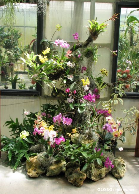 Postcard American Orchid Society - Greenhouse