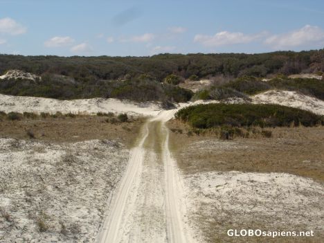 Postcard Path to the beach