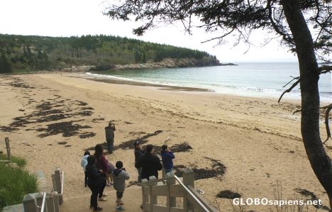 Postcard The only beach in Acadia