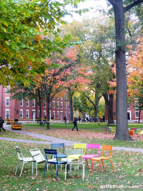 Postcard Fall
