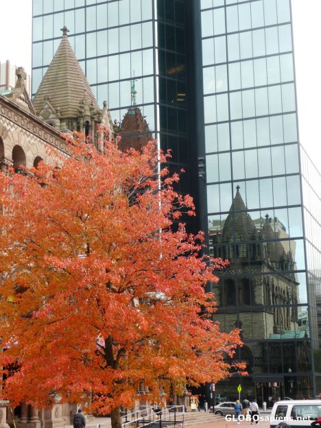 Postcard Autumnal street