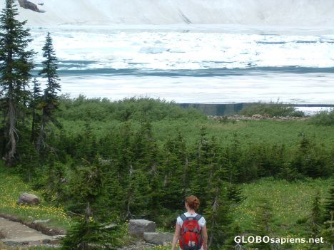 Postcard Iceberg Lake