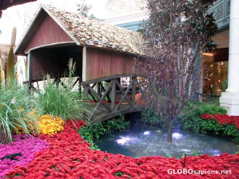 Postcard Botanical Gardens at Bellagio Hotel