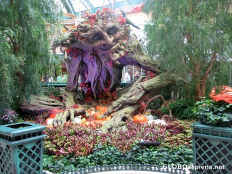 Postcard Bellagio Garden Displays
