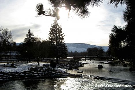 Postcard A View of the Truckee River in Wingfield Park
