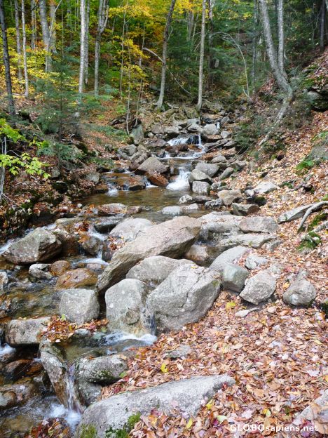 Postcard Hiking the Flume 7