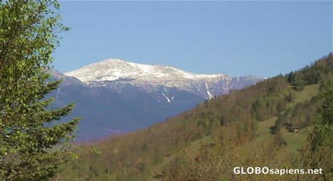 Postcard Mt Washington from the distance