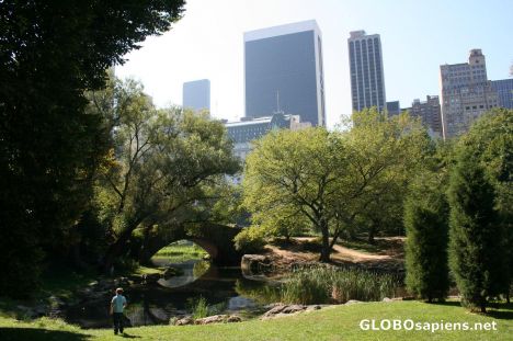 Postcard Central Park II