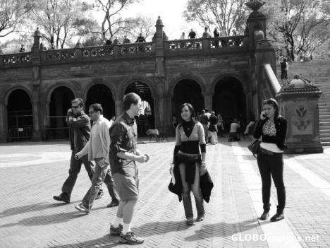 Postcard Central Park