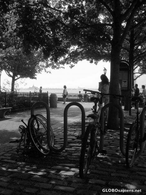 Postcard Simple kind of life [II]