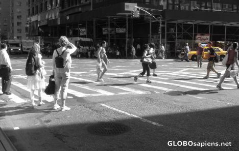 Postcard la ciudad del yellow cab