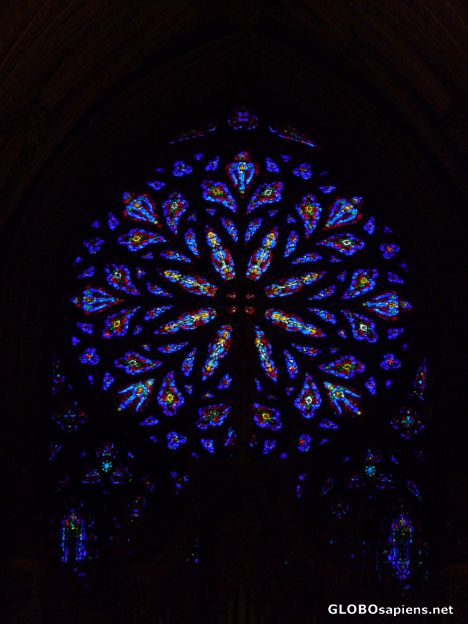 Postcard Rose window