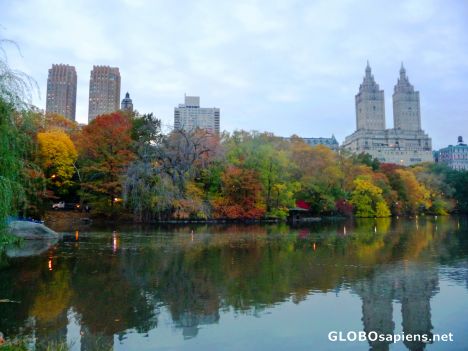 Postcard Fall in Central Park