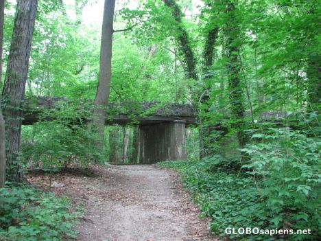 Sands Point Preserve - The Trail