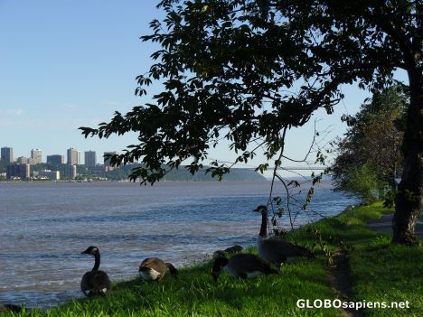 Postcard Riverside Park