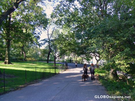 Postcard A Walk In The Park