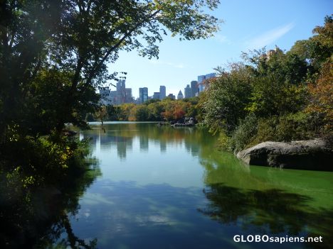 Postcard In the park -