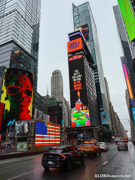 Postcard Neons