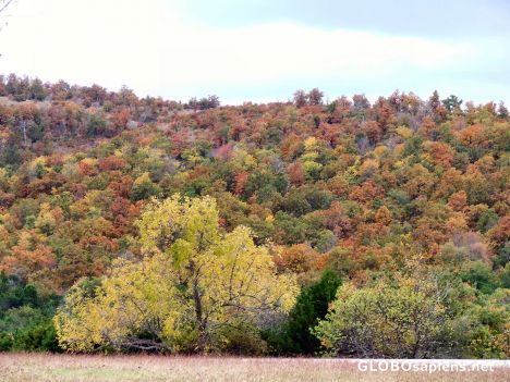 Postcard Autumn Oklahoma
