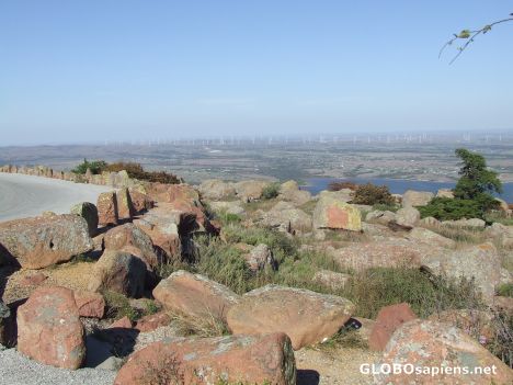 Postcard Windmills of your mind