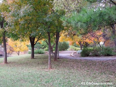 Postcard Fall 5